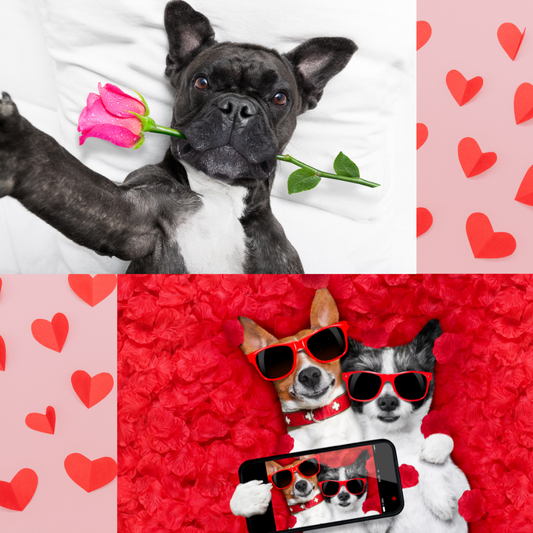 Valentine’s Vibes: Custom Shirts for Couples, Galentines, and Pet Lovers