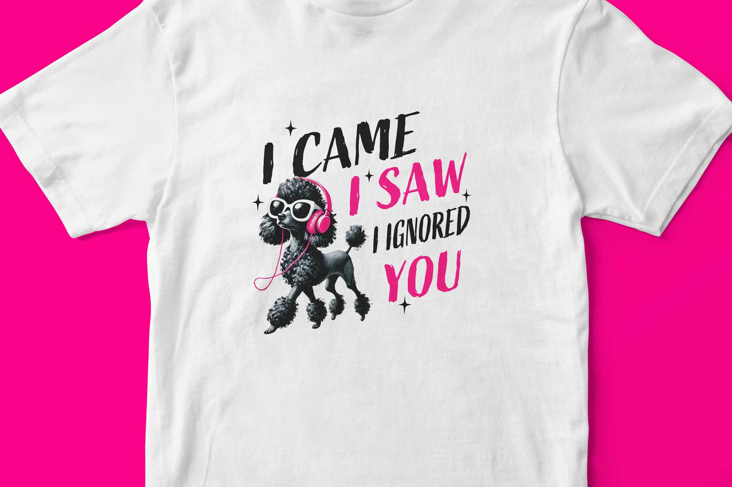 I Came. I Saw. I Ignored You