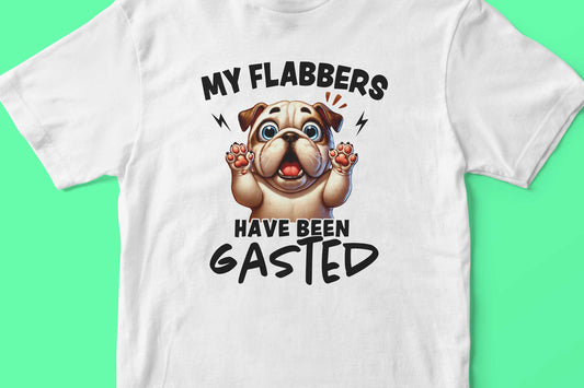 MY FLABBERS HAVE BEEN GASTED