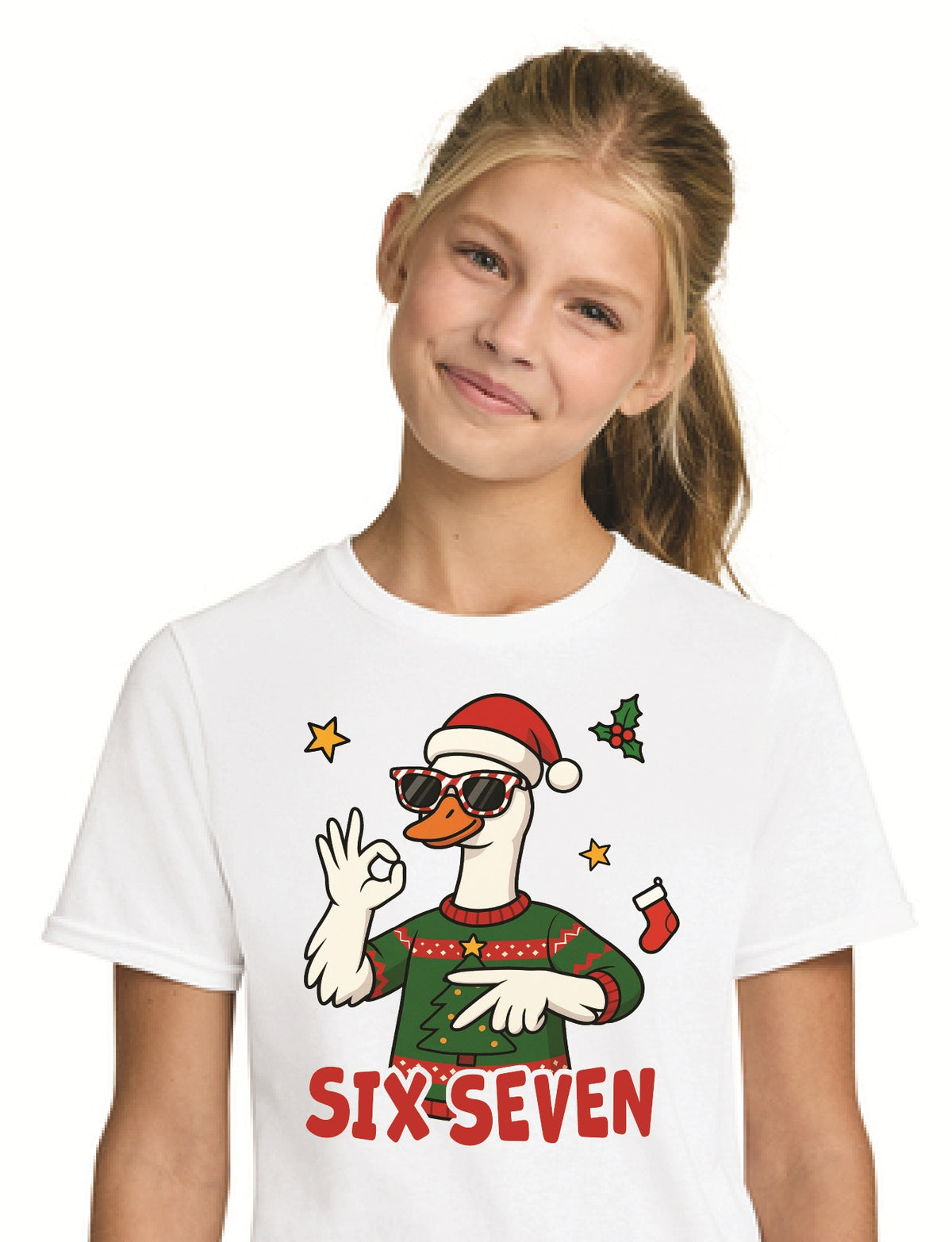 67 Christmas Goose
