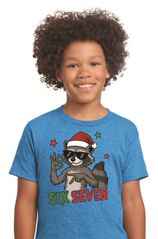 67 Christmas Racoon