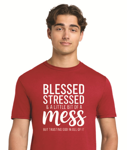 Blessed Stressed Mess