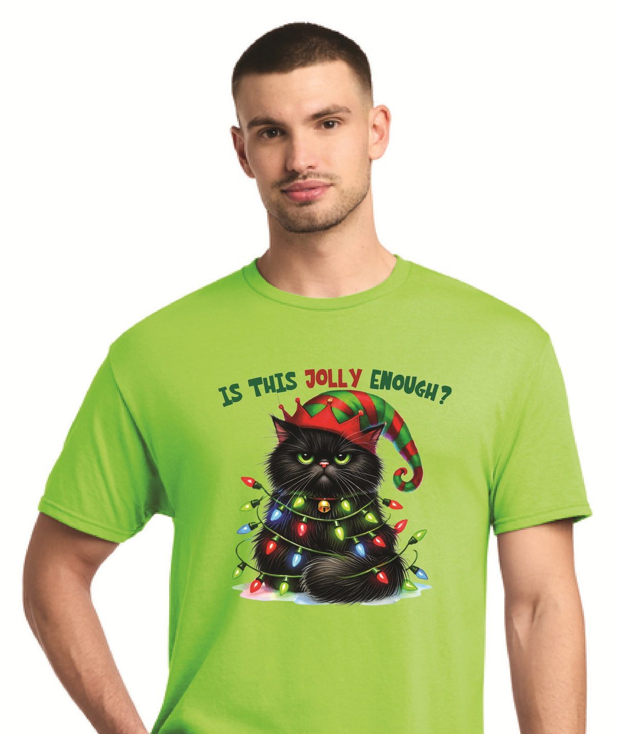Is This Jolly Enough Cat
