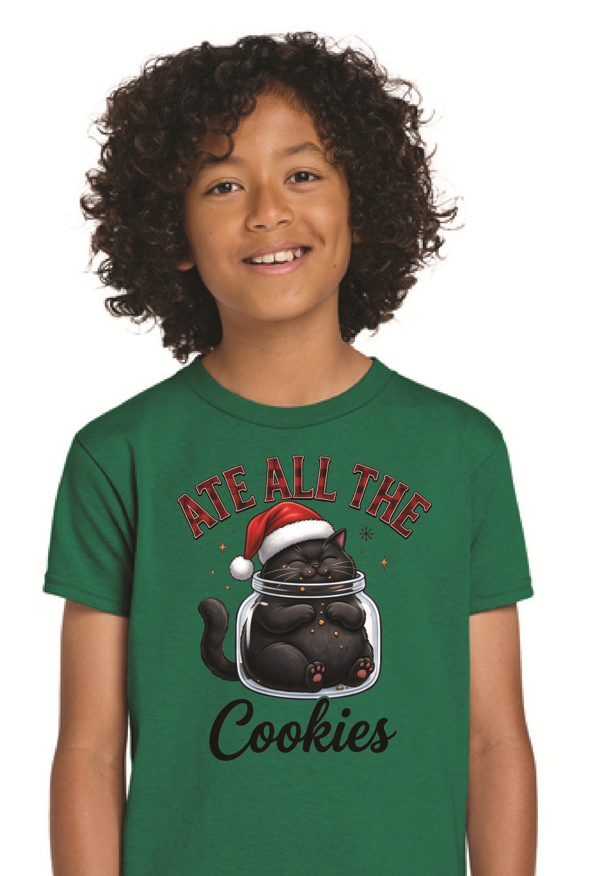 Ate All the Cookies - Cat